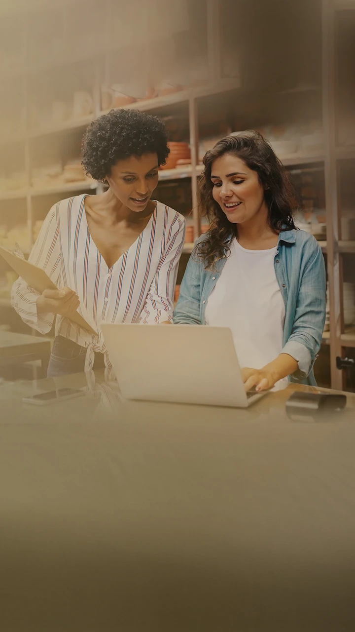 Conex Negócios - Estruturação, Profissionalização e Expansão de empresas e negócios.